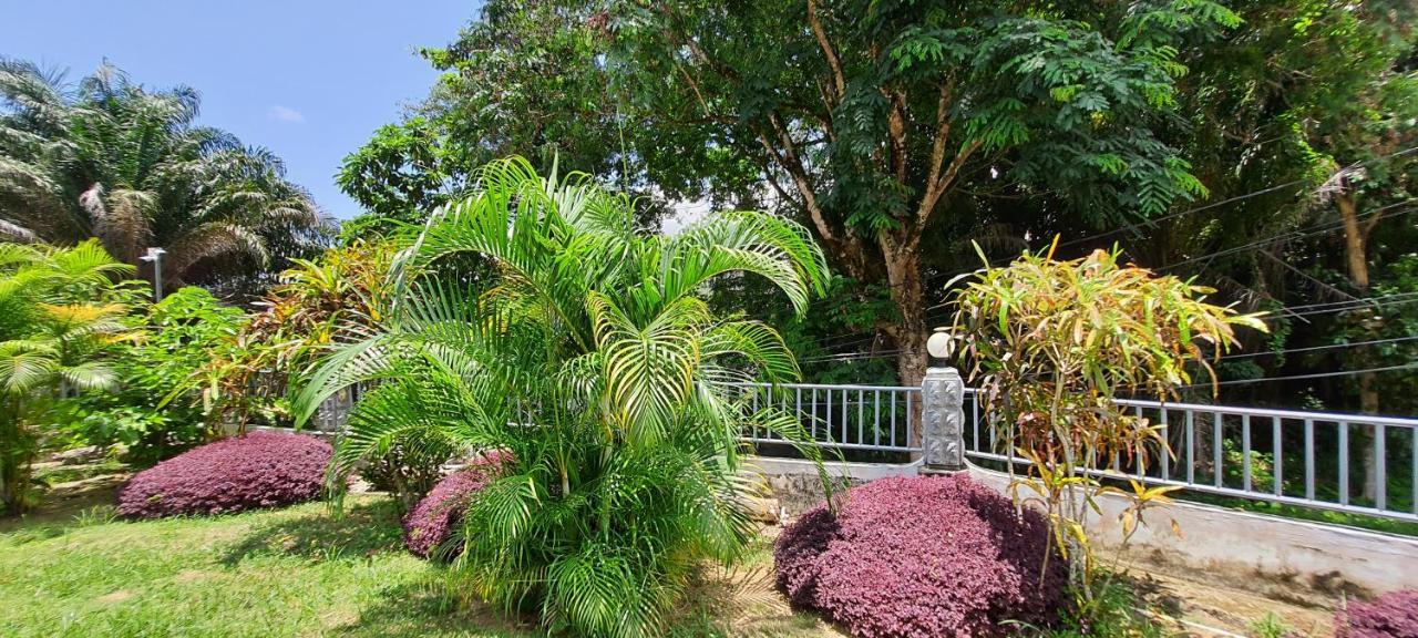 מאהה Le Chant De Merle Self -Catering Studios And Apartments מראה חיצוני תמונה